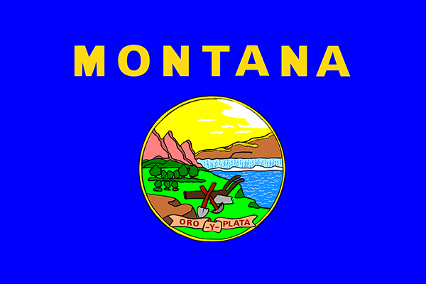 Montana LLC Formation