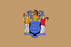 New Jersey LLC Formation
